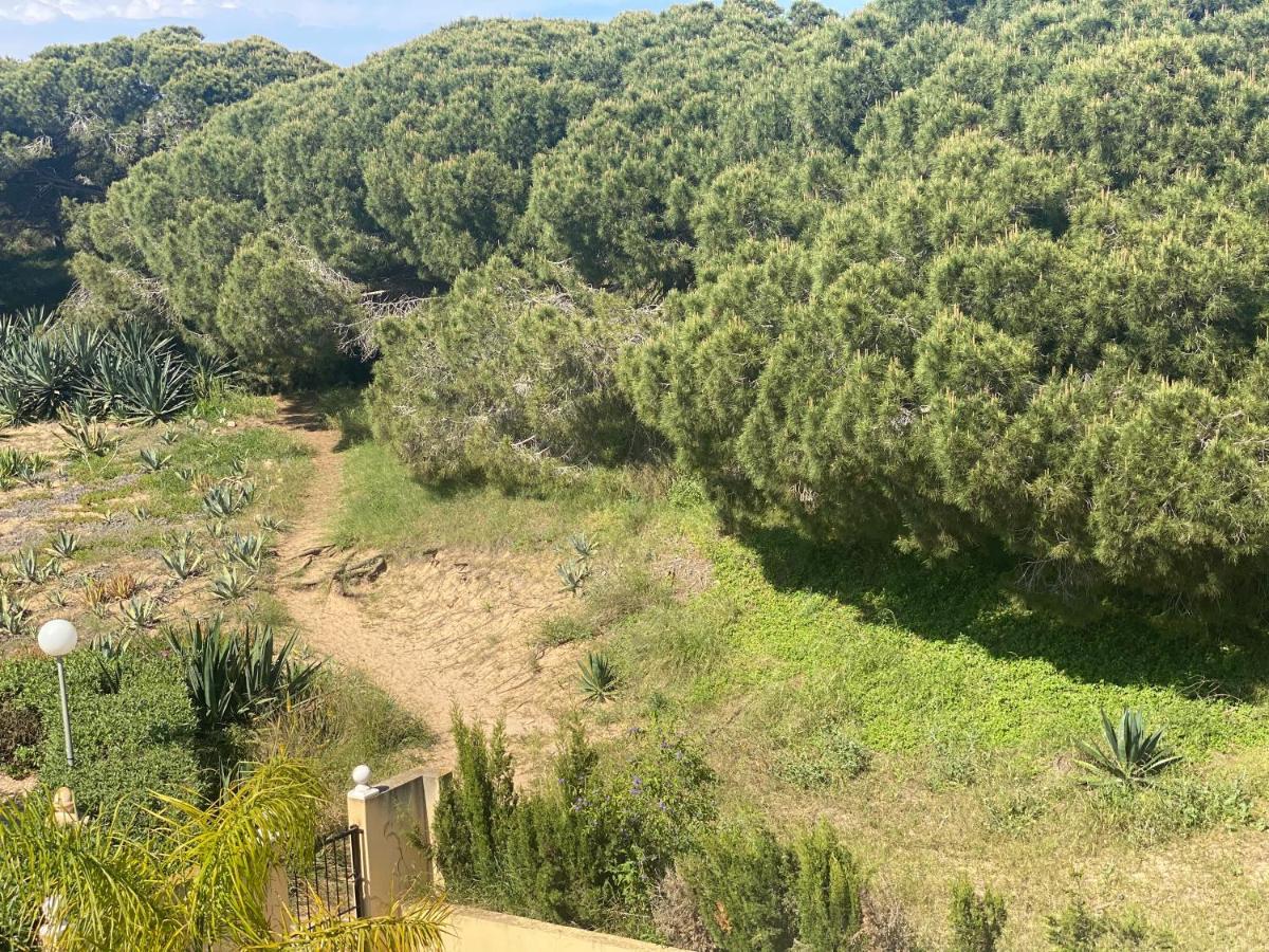 Casa De La Duna Costa Blanca La Mata  Exteriér fotografie